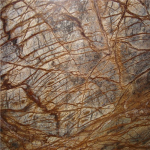 forest brown